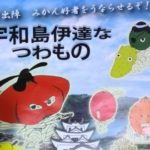 166）宇和島伊達なつわもの【ちょっと不思議なチラシ】