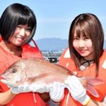 288）愛媛の新ブランド“歌吉”鯛 への期待！　（宇和島 遊子）