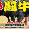 293）1月2日 「宇和島闘牛正月場所 横綱戦」と「宇和島の闘牛について」の動画　